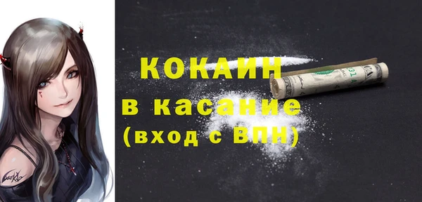 индика Богородск