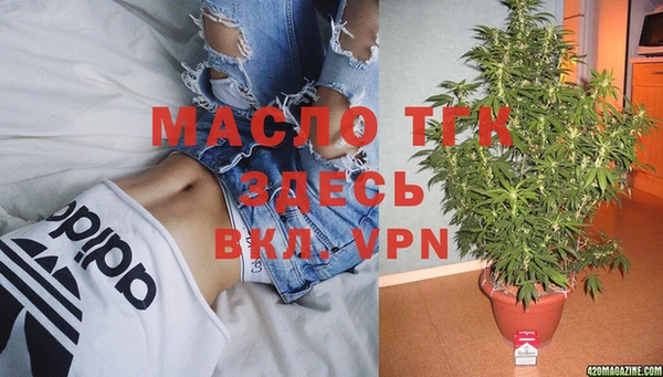 индика Богородск