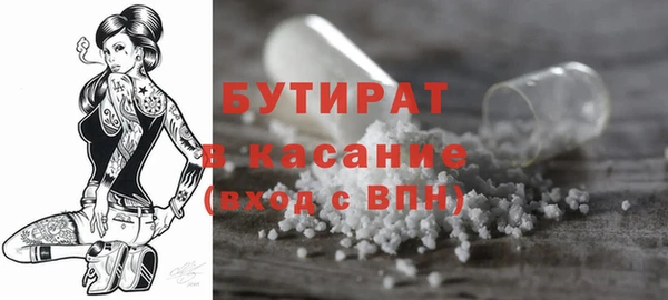 индика Богородск