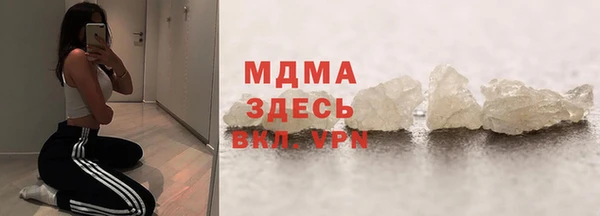 индика Богородск