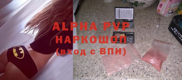 индика Богородск