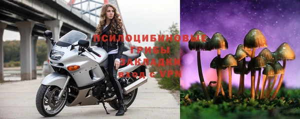 индика Богородск