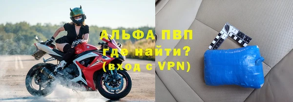 индика Богородск