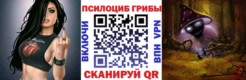 Псилоцибиновые грибы MAGIC MUSHROOMS  даркнет сайт  Калач 